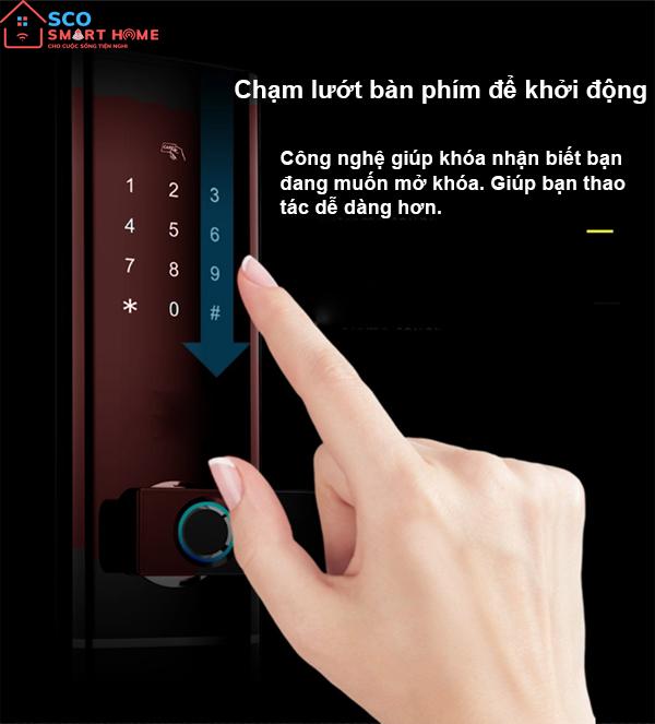 Khóa cửa thông minh Gigasun D07B