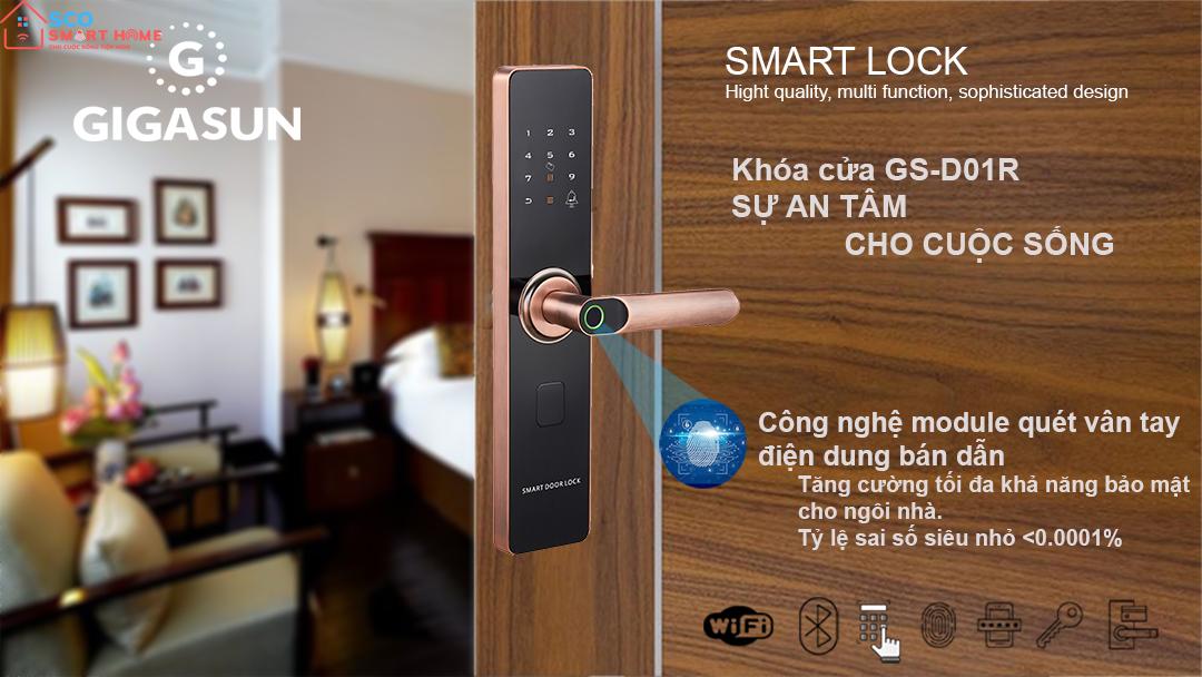 Khóa cửa thông minh Gigasun D01R