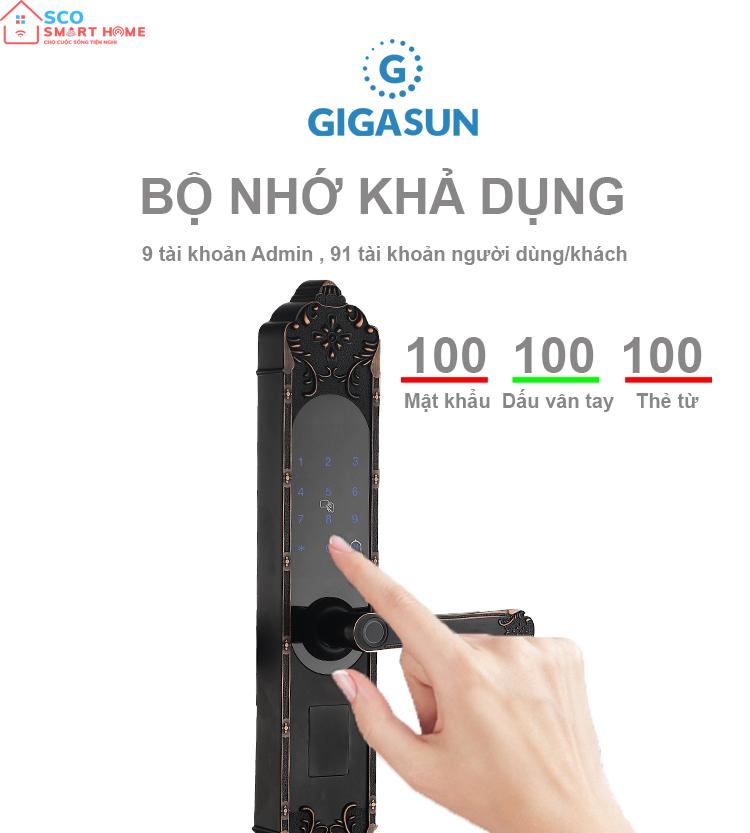 Khóa cửa vân tay cổ điển thông minh Gigasun X3B